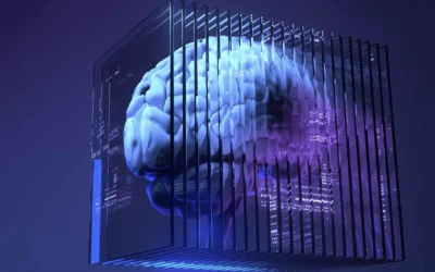 Adversarial AI Attacks on Applications: The Invisible Threat in New Jersey’s B2B Sector